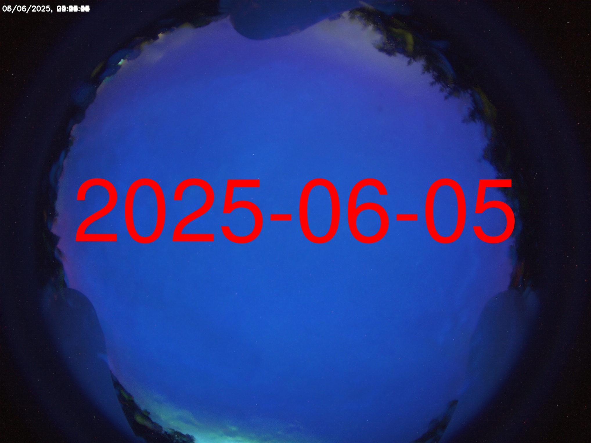 Preview unavailable (day : 20250605)