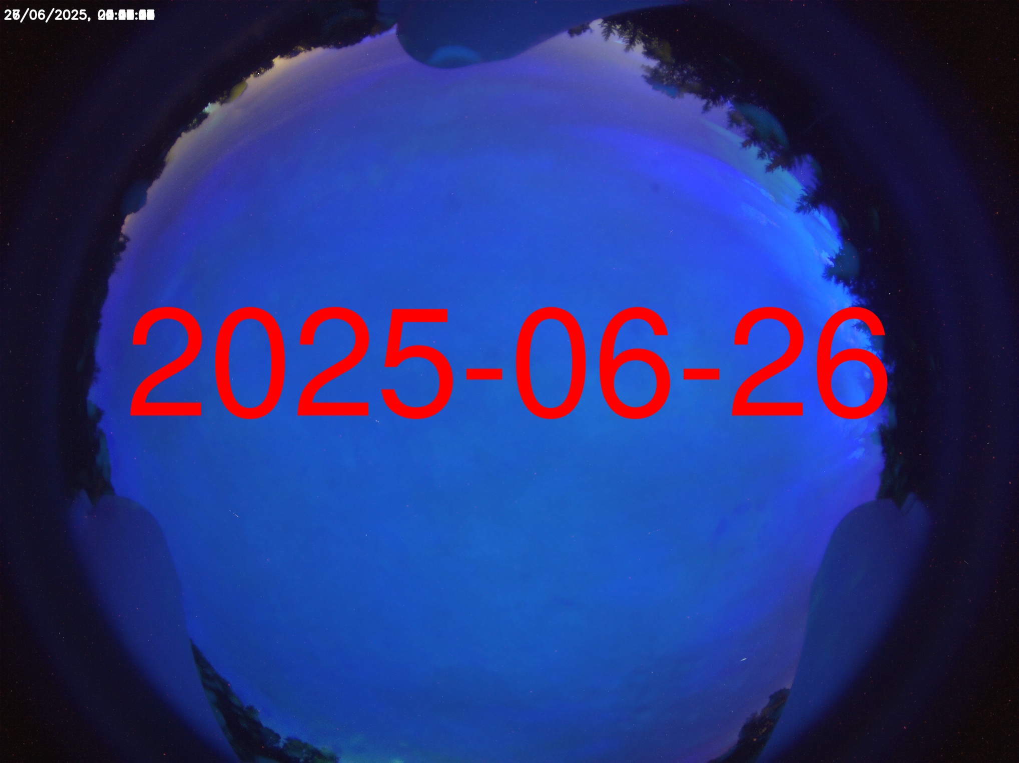 Preview unavailable (day : 20250626)